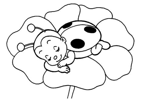 printable coloring pages ladybug coloring page coloring pages bug