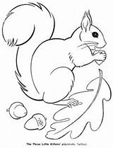 Eichhörnchen Tiere Waldtiere sketch template
