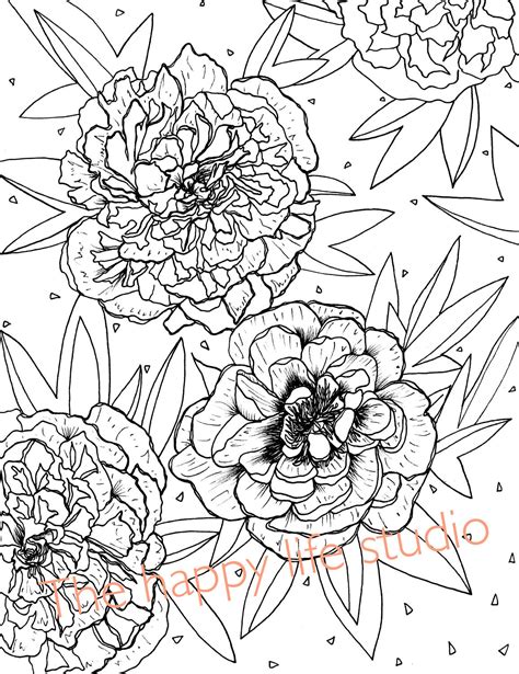 peony coloring page flower coloring page peonies drawing etsy