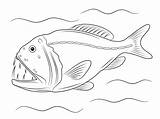 Fish Peixe Fangtooth Colorir Tiefseefische Desenhos Des Abysses Fang Creatures Peixes sketch template