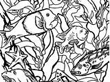Coloring Kelp Forest Pages Monterey Drawing Bay Otter Outline Getdrawings Aquarium sketch template