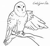 Owl Snowy Coloring Pages Drawing Printable 21kb 1024 Getdrawings Getcolorings Cartoon sketch template
