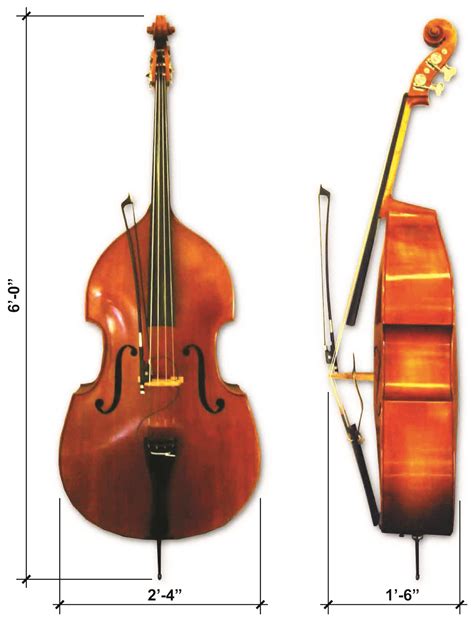 Characteristics Of A Double Bass For Electric