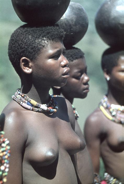 zulu african tribe girl datawav
