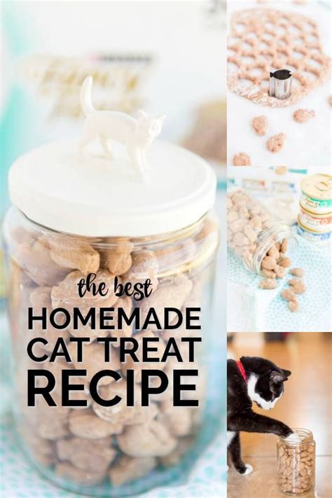 These Easy Homemade Cat Treats Are A Darling Way To Say I