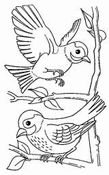 Vogel Malvorlage Malvorlagen Angelika Stickereimuster sketch template