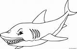 Megalodon sketch template