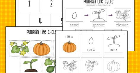 printable pumpkin life cycle worksheets messy  monster