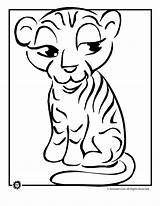 Tiger Coloring Cub Pages Cartoon Drawing Kids Girl Animal Tigers Baby Cliparts Cute Outline Printable Sheets Clipart Drawings Hat Party sketch template