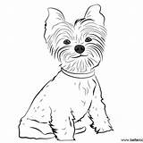 Yorkie Yorkshire Tagged sketch template