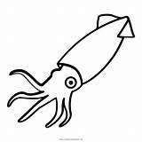 Squid Calamar Calamaro Tintenfisch Octopus Draw Stampare Tentacles Seekpng Kindpng Webstockreview Tentacle Ultracoloringpages sketch template