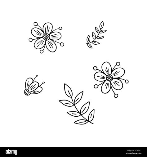 fancy flowers leaves set simple vector minimalist concept outline