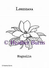 Louisiana Magnolia Clicking sketch template