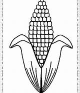 Corn Coloring Field Amazing Getcolorings Getdrawings sketch template
