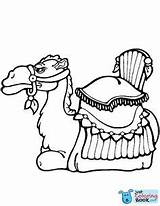 Coloring Pages Printable Camels sketch template