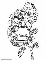 Coloring Pages Adults Flower Flowers Printable Perfume sketch template