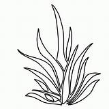 Malvorlagen Pflanzen Seaweed Fensterbilder Shrubbery Unterwasserpflanzen Pastos Pflanze Clipartmag Regalos Shrubs Pasto Colorearya Seagrass Niños sketch template