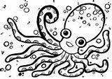 Octopus Krake sketch template