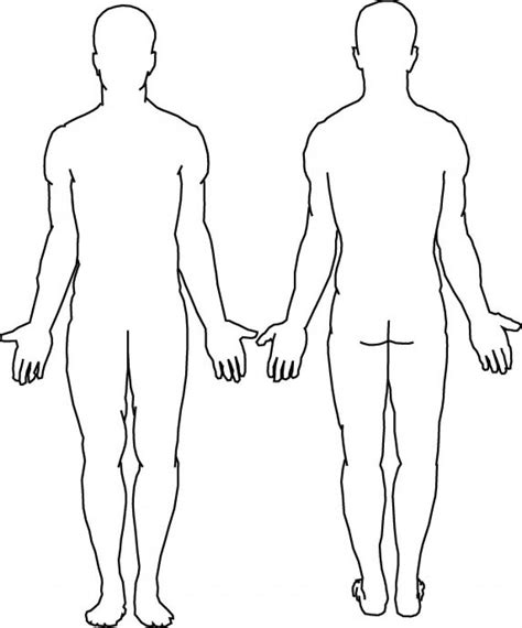 blank body human body diagram body diagram body template