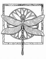 Dragonfly Dragonflies sketch template