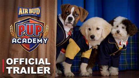 pup academy official trailer hd youtube