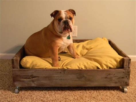 diy pallet dog bed ideas   home pallets platform