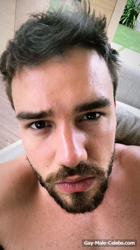 liam payne shirtless 9 photos the male fappening