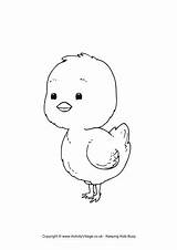Chick Colouring Coloring Pages Easter Baby Printable Chicks Colour Color Swiss Print Little Getcolorings Cute Sheet Switzerland Flag Activity sketch template
