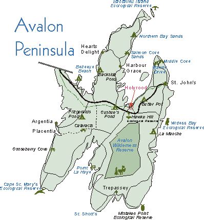avalon peninsula alchetron   social encyclopedia