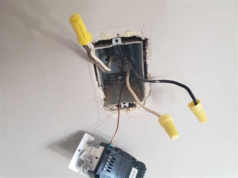 electrical    connected pairs  black  white wires   light  switch