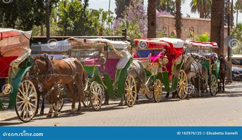 vervoer op het jemaa el fnaa plein  marrakech marokko redactionele afbeelding image