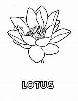 Lotus Coloring Pages Flower Printable Fruit Kids Its Color Bestcoloringpagesforkids Sheets Flowers Getdrawings Aquatic Plant Sheet Choose Board Activities Books sketch template