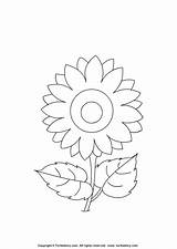 Sunflower Coloring Color Flower Craft Kids Activities Crafts Flowers Print Pages Different Dots Join Choose Board Sun Sheet Progress Track sketch template