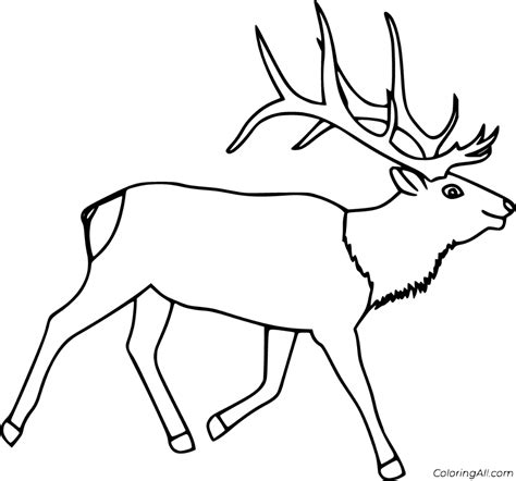 printable elk coloring pages  vector format easy  print