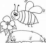Bee Flower Coloring Pages Sniffing Bumble sketch template