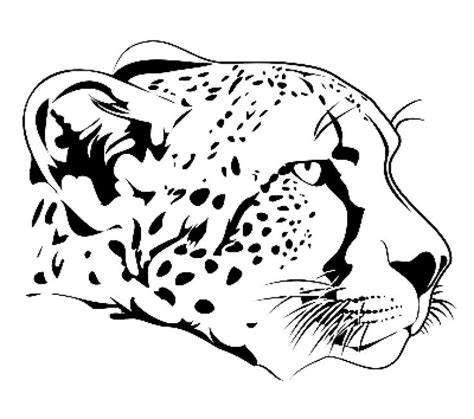 cheetah face coloring page cheetah drawing zoo animal coloring pages