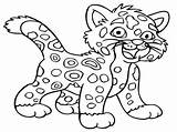 Cheetah Coloring Pages Baby Jaguar Leopard High Animal Drawing Little Costa Rica Quality Print Snow Easy Animals Color Printable Jaguars sketch template