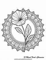 Coloring Mandala Flower Drawing Maud Feral Delicate Pages Choose Board sketch template