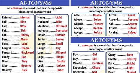 antonyms   examples  qaqookingwiki