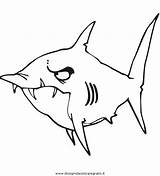Squali Squalo Disegno Colorare Sharks Disegnidacoloraregratis sketch template