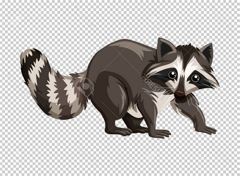 raccoon silhouette vector  vectorifiedcom collection  raccoon