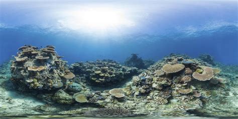 great barrier reef underwater photos from unesco world