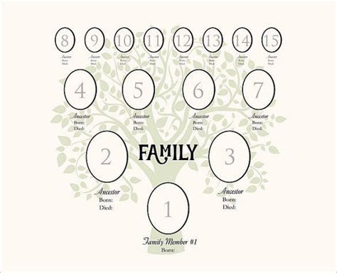 generation family tree template   sample  format