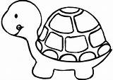 Coloring Pet Turtle Pages Pets Kids sketch template