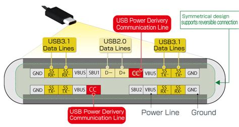 usb type  cable pinout