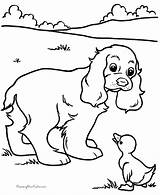 Welpe Cocker Spaniel Ausmalbilder Sheets Ausmalbild Raisingourkids Coloringhome sketch template