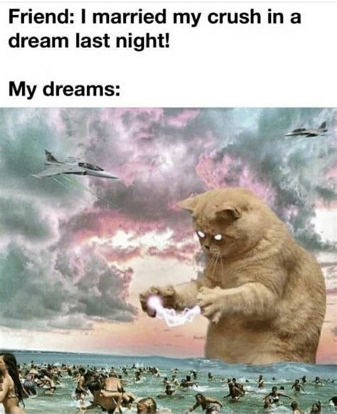 25 best memes about meme dream meme dream memes images