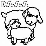 Sheep Sound Coloring Pages Template sketch template