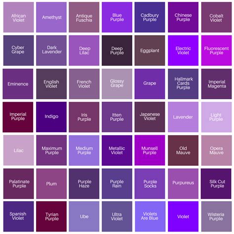 purple color codes  names selection colors vector image