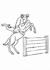 Springpferd Hindernis Pferde Ausmalbild Ausmalen Pferd Ausdrucken Malvorlagen sketch template
